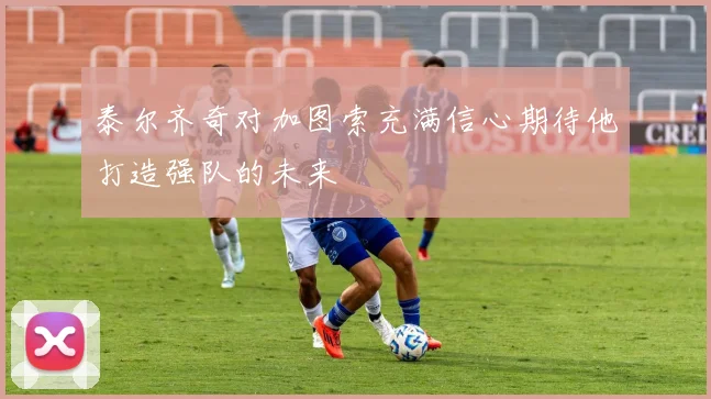 泰尔齐奇对加图索充满信心期待他打造强队的未来