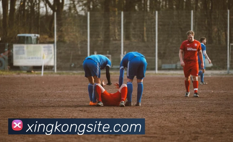 星空体育服务体系